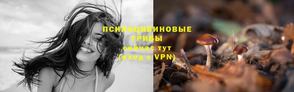 мяу мяу кристалл Новодвинск