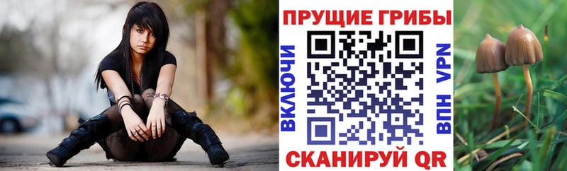 ОМГ ОМГ ONION  сайты даркнета как зайти  Псилоцибиновые грибы GOLDEN TEACHER  что такое наркотик  Александровское 